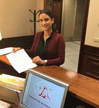 Ciudadanos pregunta en el Congreso por la ampliación del Museo Bellas Artes de Sevilla