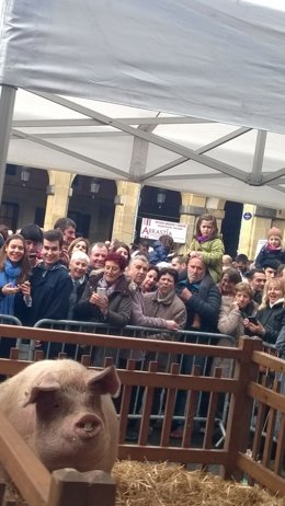La cerda Potxola en la Feria de Santo Tomás en San Sebastián