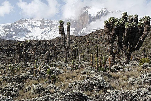 Laderas del Monte Kilimanjaro