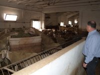 La DPT destina 12.000 euros para evitar la extinción de tres razas autóctonas