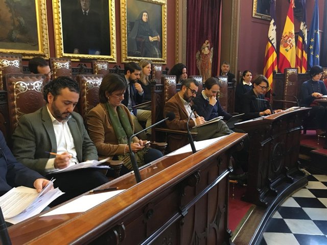 Pleno Cort diciembre