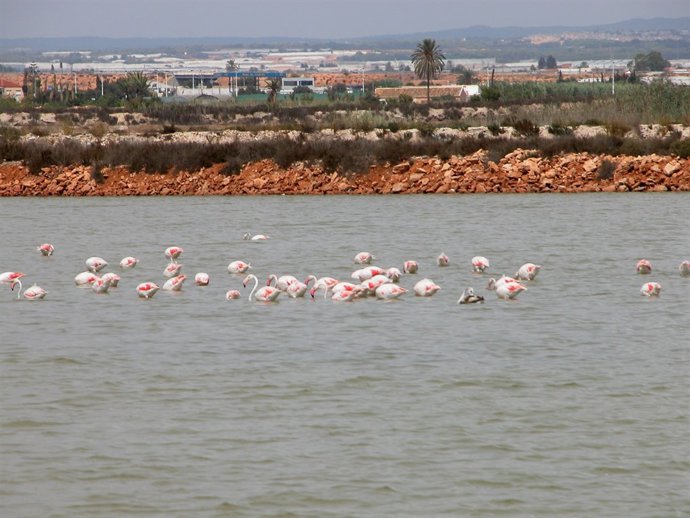 Las Salinas de San Pedro del Pinatar 