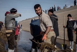 Trabajos de recuperación de cultivos en Irak