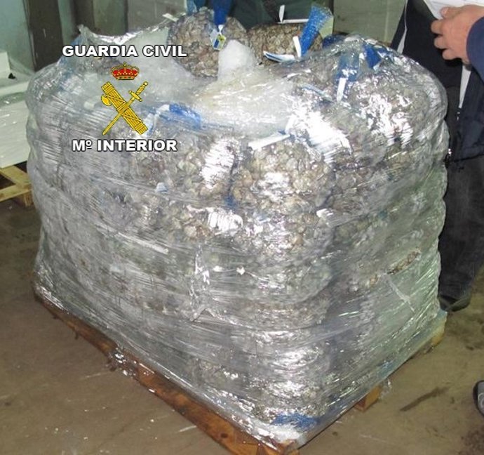 Chirlas decomisadas en un camión en el polígono Guadiel.