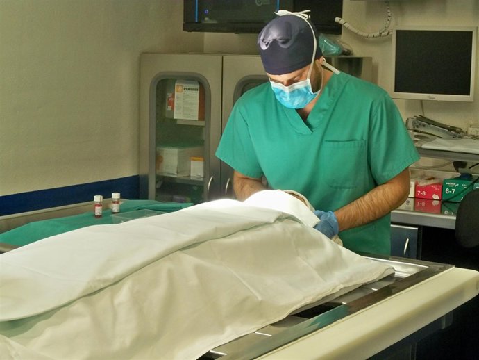 Simulación de una extracción de córnea en el Instituto de Medicina Legal