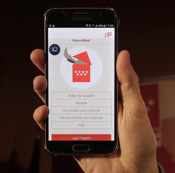 Mascomad, aplicación para adoptar mascotas