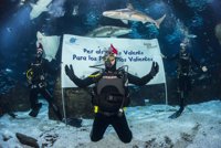 Antonio Orozco felicita las fiestas rodeado de tiburones en L'Aquàrium