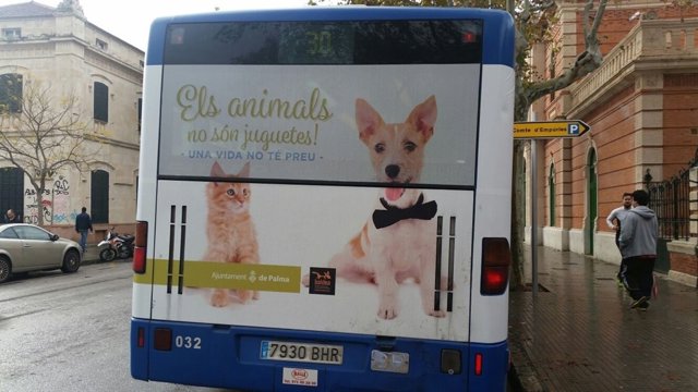 Campaña en los buses de la EMT