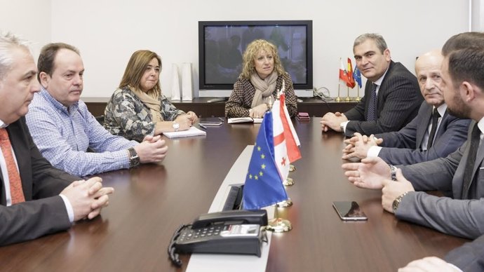 Eva Díaz Tezanos se reúne con una delegación de Georgia