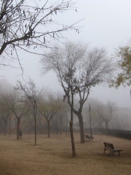 Niebla, nublado, frío, inverno, nebuloso