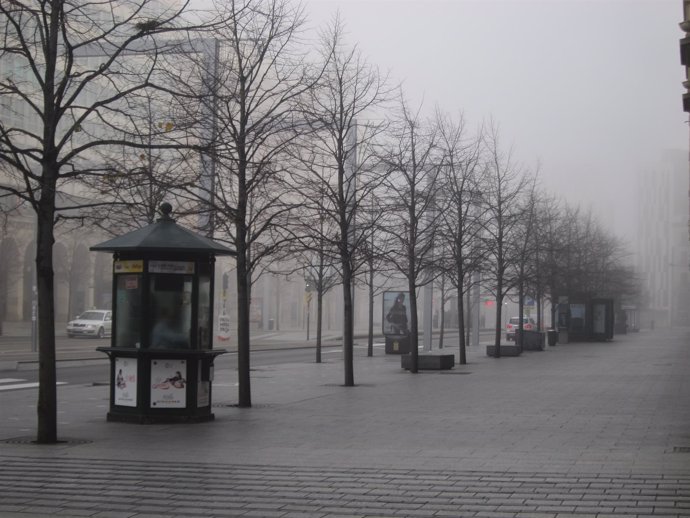 Niebla y frío en la capital aragonesa.