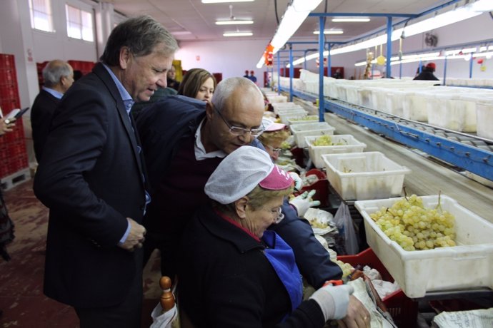 Juan Carlos Moragues visita la Cooperativa Agrícola Monforte del Cid 