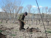 Gobierno de C-LM aprueba la resolución de las ayudas FOCAL y la de Seguros Agrarios