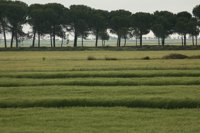 Nuevas ayudas del Gobierno aragonés a la incorporación de jóvenes al sector agrario