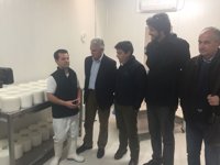 PSOE reclamará al Gobierno ayudas excepcionales para explotaciones del sector caprino