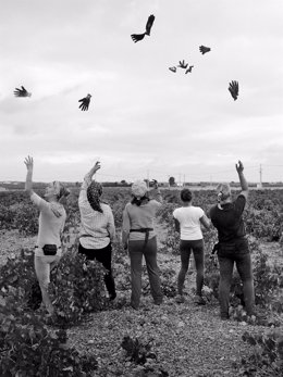 Ndp Ganadores Concurso Fotográfico Cooperativas Agro Alimentarias Castilla La Ma