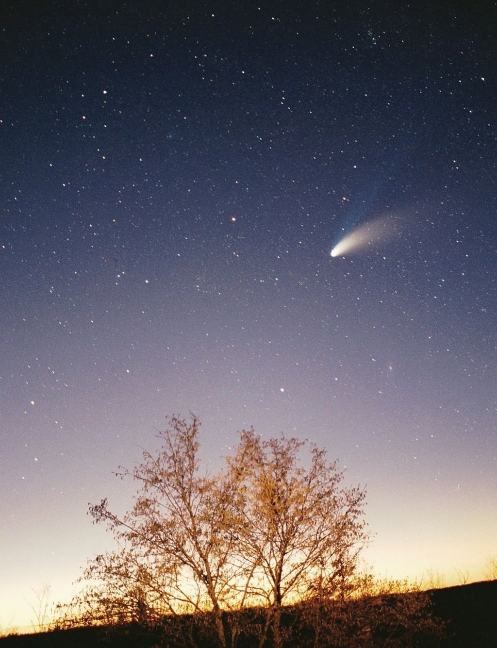 Un cometa recién descubierto, visible a simple vista a mitad de enero