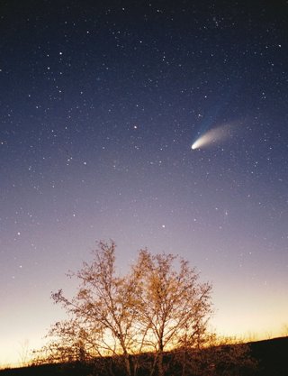 Cometa Hale Boop