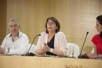 Madrid puede flexibilizar la aplicación del protocolo contaminación en Operación Salida