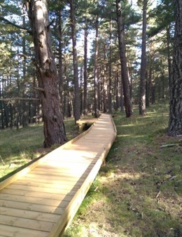 Itinerario Para Personas Con Movilidad Reducida Y Discapacidad Visual En El Parc