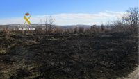Detenido por un incendio forestal intencionado en Lucillo (León)