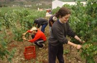 Empleo prorroga un año más la gestión colectiva para la contratación en origen de inmigrantes para campañas agrícolas