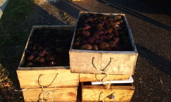 Intervención del Servizo de Gardacostas en Vigo.