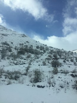 Nieve, temporal, frío, invierno, autopista del Huerna