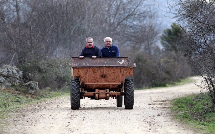 Conducir tractor, tractores, agricultor, agricultores, vida en el campo