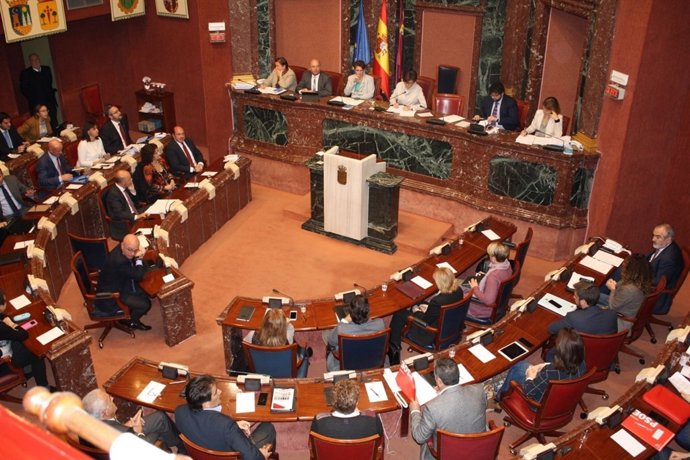 Imagen del Pleno de la Asamblea 