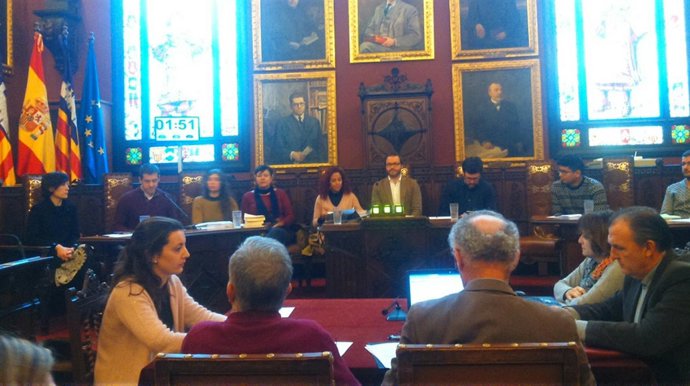 Pleno presupuestos 2017