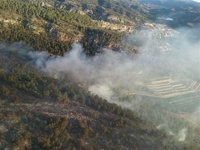 Los municipios dañados por los incendios forestales de junio recibirán 580.000 euros del Consell