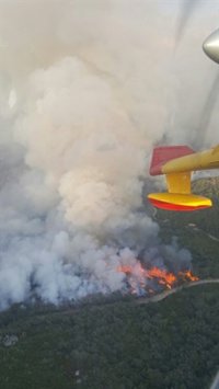 El Gobierno destina 900.000 euros a restaurar las áreas afectadas por los incendios forestales en León y Orense