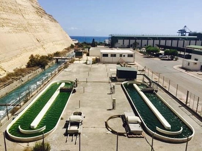 Planta de microalgas de Endesa.