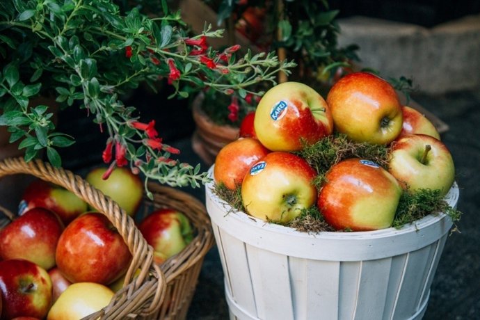 Np Tratamientos De Belleza Caseros Con Manzana Como Base