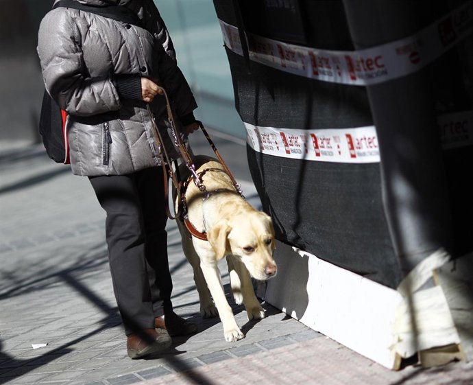 Discapacidad, discapacitado, ciego, personas ciegas con perro guía, lazarillo