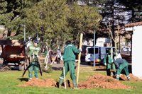 Azuqueca plantará un árbol por cada recién nacido que se empadrone en el municipio