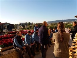 Programa de Garantía Juvenil del Consell de Mallorca