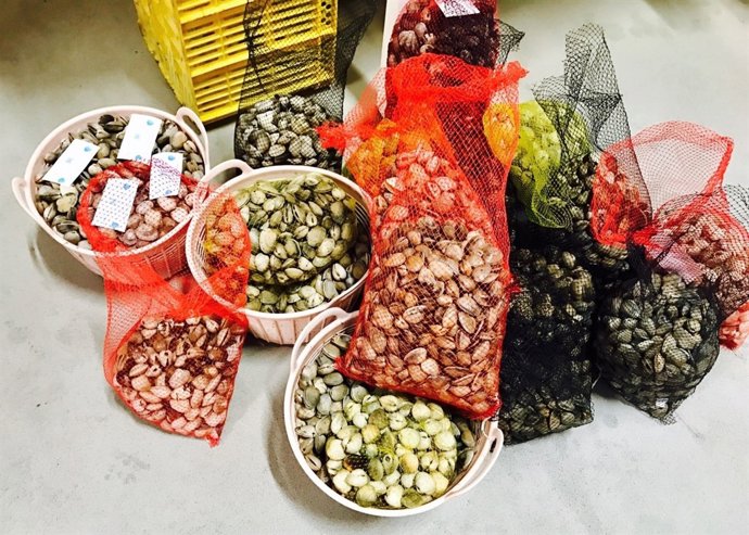 Marisco intervenido en Padrón (A Coruña).