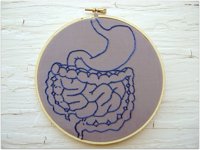 Investigadores detectan una proteína capaz de regular los niveles de serotonina en el intestino