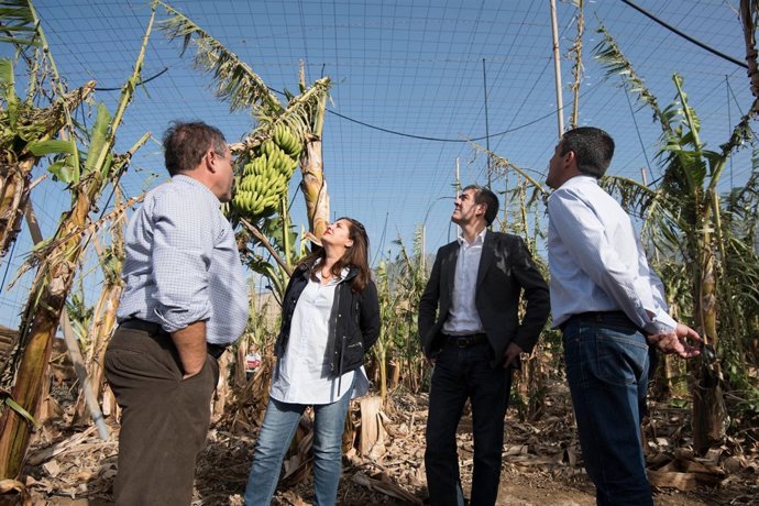 Clavijo visita las zonas afectadas por el temporal de viento