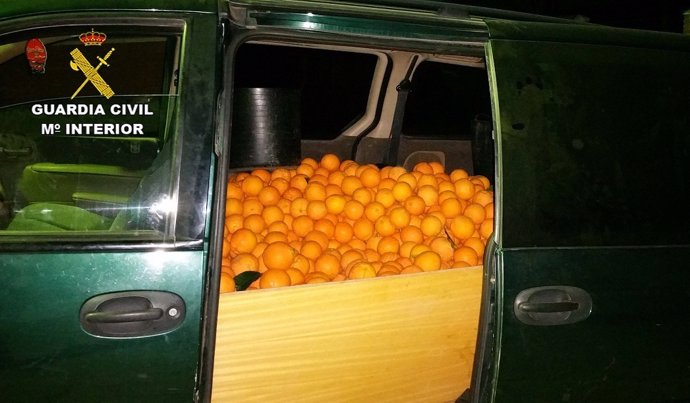 Robo de naranjas en Beas