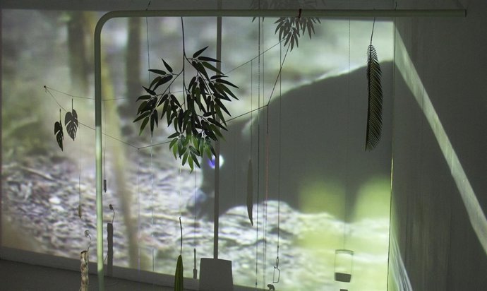 Premio Solán De Cabras De Arte Joven 2017