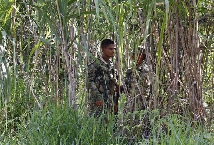 FARC en el campo