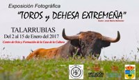 La exposición fotográfica 'Toros y Dehesa de Extremadura' llega a Talarrubias