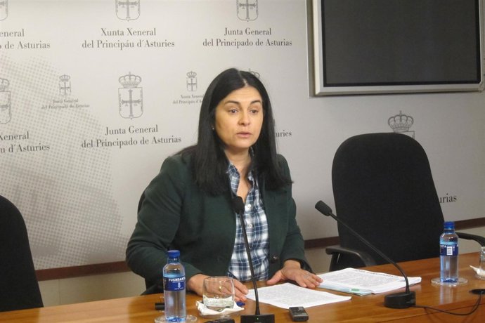  La Diputada De Foro En La Junta General, Carmen Fernández.