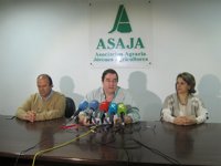 Asaja Extremadura pide la suspensión de las elecciones al campo por "incumplir" la Ley Agraria