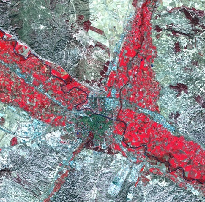 Imagen del trabajo de la spin off de la Uz 'Remot Technologies'