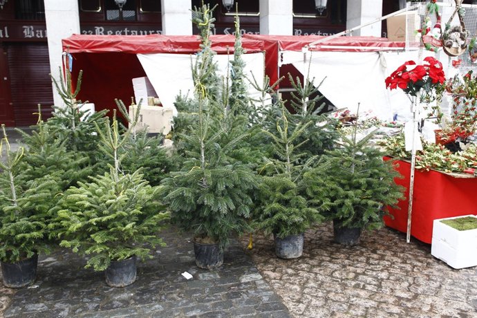 Navidad, navidades, árbol de Navidad, compras
