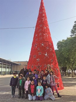 Actividad del proyecto Noel Campus